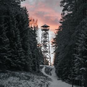 Forest watchtower